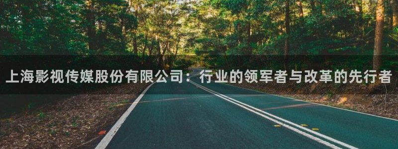晴天影视在线观看免费完整版电视剧：上海影视传媒股份有限公司：行业的领军者与改革的先行者