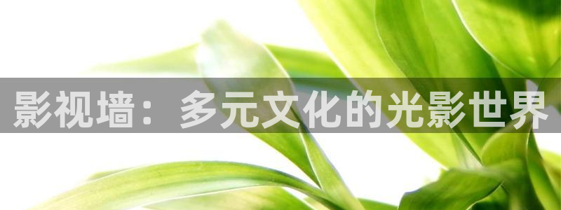 晴天影视免费观看：影视墙：多元文化的光影世界