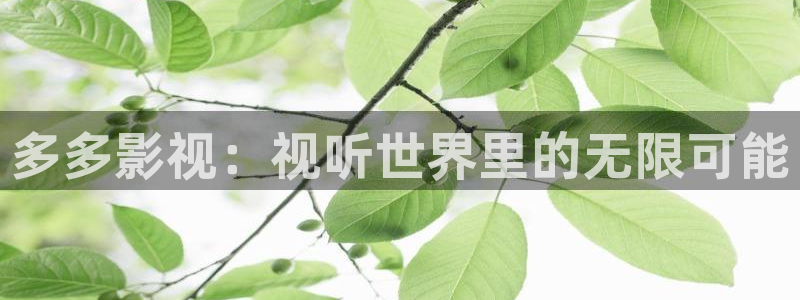 晴天影视官方下载app：多多影视：视听世界里的无限可能